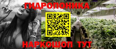 спиды Новозыбков