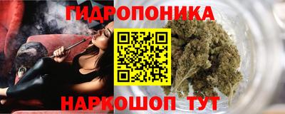 МДПВ Новодвинск