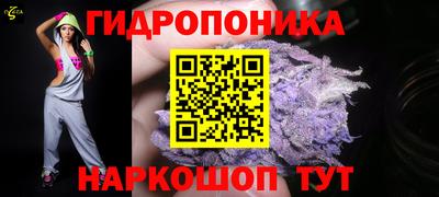 спиды Новозыбков